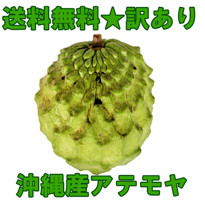 楽天市場 訳あり お試し 沖縄産アテモヤ1パック 1個 送料無料1玉当たり400g 500g未満収穫状況では2玉400g 500g未満ギフト 贈答 や 沖縄土産で人気の果物 くだもの 沖縄食材 送料無料市場 お試し スイーツ 販売 楽天通販 ギフト 沖縄うまいもの屋 長浜商店