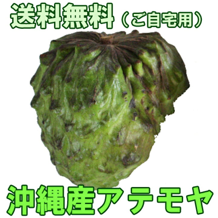 楽天市場 沖縄産アテモヤ 白箱入り2kg 送料無料ギフト 贈答 や沖縄土産で人気の果物 くだもの 沖縄食材 送料無料市場 お試し スイーツ 販売 楽天 通販 引越し 挨拶 ギフト 沖縄うまいもの屋 長浜商店