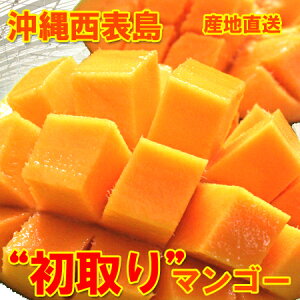 �M�t�g�p ����Y �}���S�[ �e�T�C�Y��葵���Ă���܂��i1kg,2kg,4kg�T�C�Y)�A�[�E�B�� �A�b�v���}���S�[ ���\���Y ��ʁI����}���S�[ �Y�n�����A���������ł��͂� ������ �M�t�g �����p 