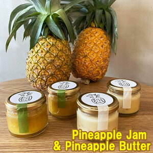 pCibv o^[  pCibv WZbgie1Fv2j {̉YpCibvґɎgppCXMĂߒH  i O X