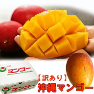 訳あり 沖縄産マンゴー 2kg箱（マンゴー内容量1800g以上：4-7玉）自宅用 白箱入り 産地直送 送料無料 ア…