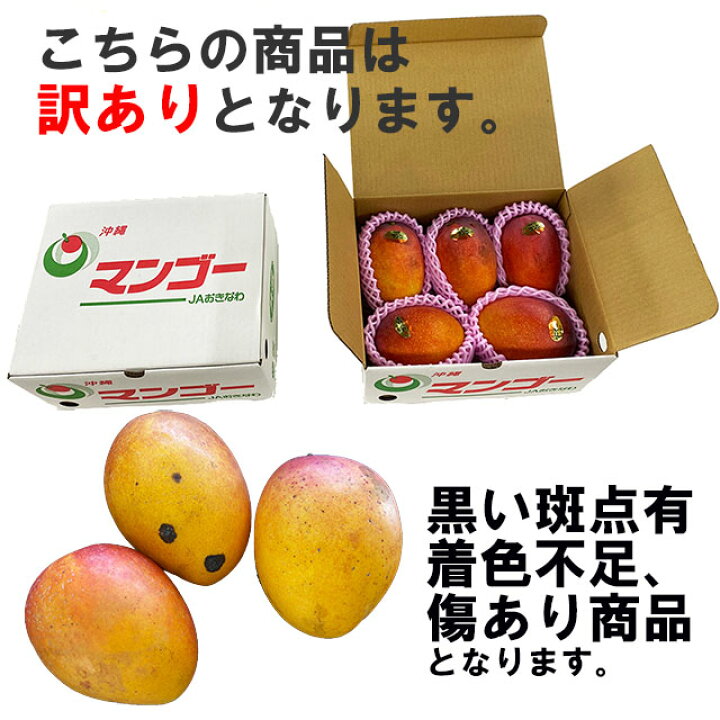家庭用マンゴー詰め合わせG.Wセール品 - 果物