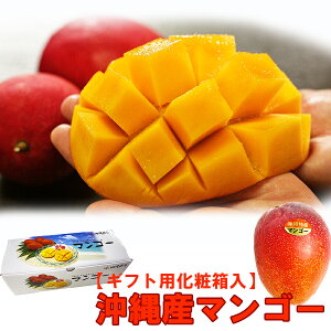 ���� �}���S�[ �����p1kg���i�}���S�[���e��700g�ȏ�j�i2-4�ʁj�Y�n���� �������� ���ꌧ�Y �}���S�[ ����Y �}���S�[������ �c���������� ������ �����킯 �����p �M�t�g�Ƃ��ăA�[�E�B�� 