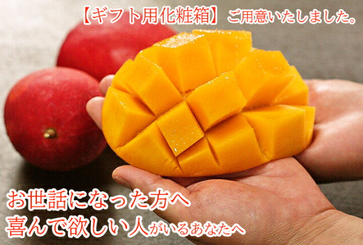 楽天市場 お中元 に 沖縄 マンゴー 贈答用 2kg箱 マンゴー内容量1800g以上 4 7玉 ギフト用 化粧箱入り 送料無料 沖縄県産 マンゴー 沖縄産 マンゴーお中元 残暑お見舞い お供え お裾わけ 贈答用 ギフトとしてアーウィン アップルマンゴー 沖縄うまいもの屋 長浜商店