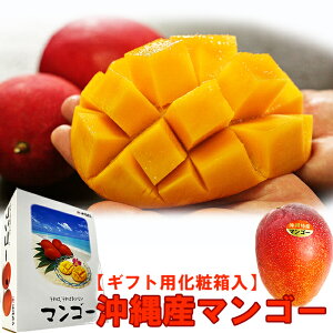 ������ �ɁI���� �}���S�[ �����p 2kg���i�}���S�[���e��1800g�ȏ�F4-7�ʁj�M�t�g�p ���ϔ����� �������� ���ꌧ�Y �}���S�[ ����Y �}���S�[������ �c���������� ������ �����킯 �����p �M