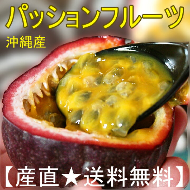 楽天市場 送料無料 沖縄産パッションフルーツ1箱 約800g 1kg リリコイ8玉 12玉ギフト 贈答 や沖縄土産で人気の果物 くだもの 沖縄食材 送料無料市場 お試し スイーツ 販売 楽天通販 引越し 挨拶 ギフト 母の日 父の日 母の月 早割り ギフト プレゼント 沖縄