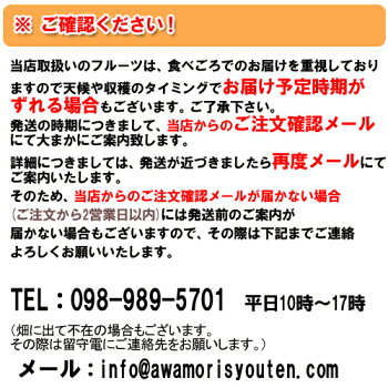 沖縄産ドラゴンフルーツ(レッドピタヤ)