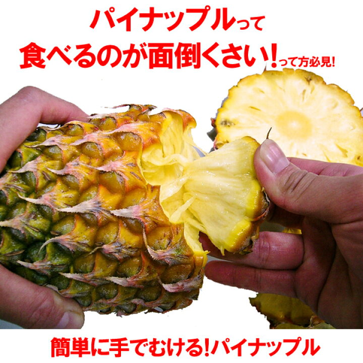 楽天市場 スナックパイン 沖縄産 パイナップル 約1 5kg 送料無料自社管理農園から直送だから安心保証付き沖縄産フルーツ パイナップルの通販はお任せ下さい 母の月 母の日 父の日 ギフト パインアップル 沖縄うまいもの屋 長浜商店