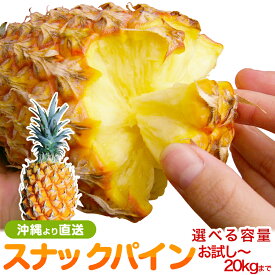 パイナップル 沖縄産 スナックパイン 選べる容量！ お試し 1玉～業務用(ご家族用・業務用まで対応) 送料無料自社栽培だから安心保証付 青空レストランで紹介果物 ギフト ボゴールパイン ポコットパイン 果物 高級フルーツ