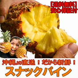 楽天市場】大太鼓 (中) 赤牛皮 直径33c×高さ39cm バチ1本付き エイサー 