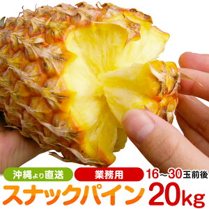 パイン パイナップルの人気商品 通販 価格比較 価格 Com