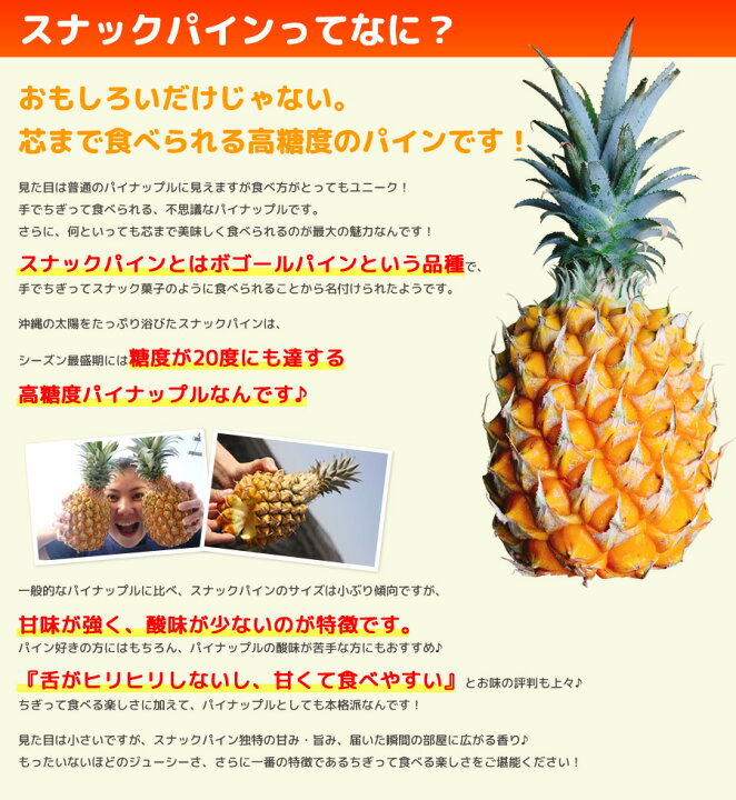 楽天市場】【1時間限定☆タイムセール】安心保証付 パイナップル 