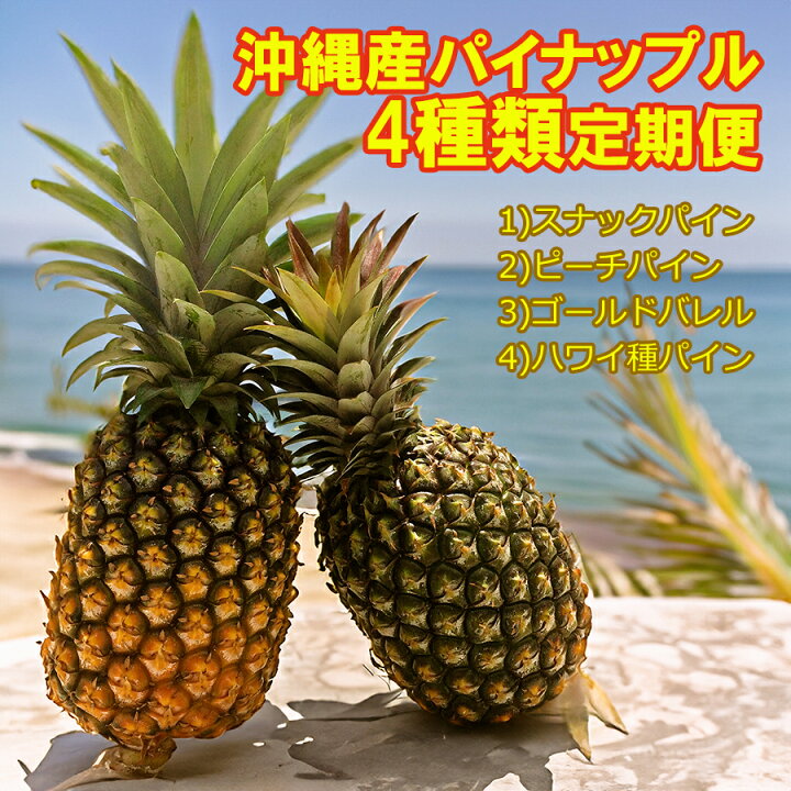 楽天市場】【予約25年4月以降収穫】パイナップル定期便（全4回発送 