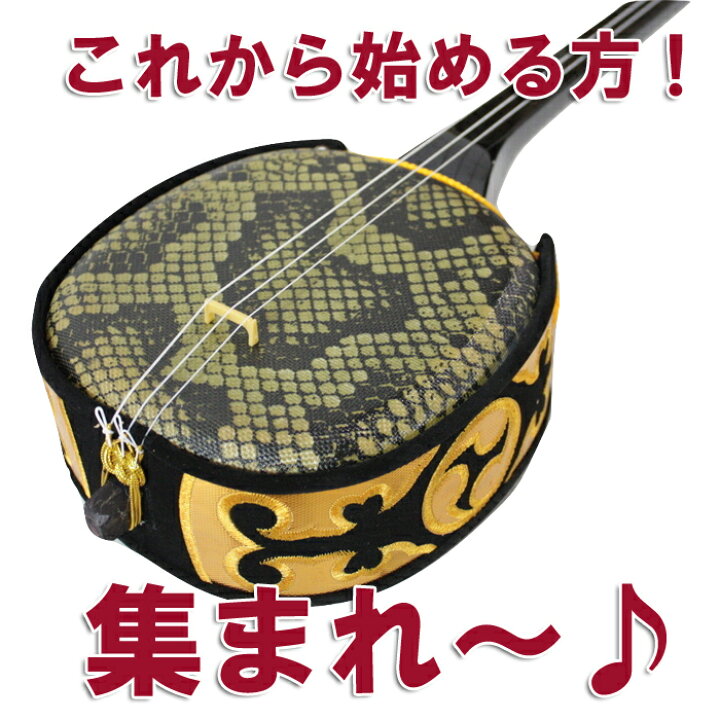 楽天市場】【三線通販専門店】三線 初心者 セット 送料無料三線ツメ 