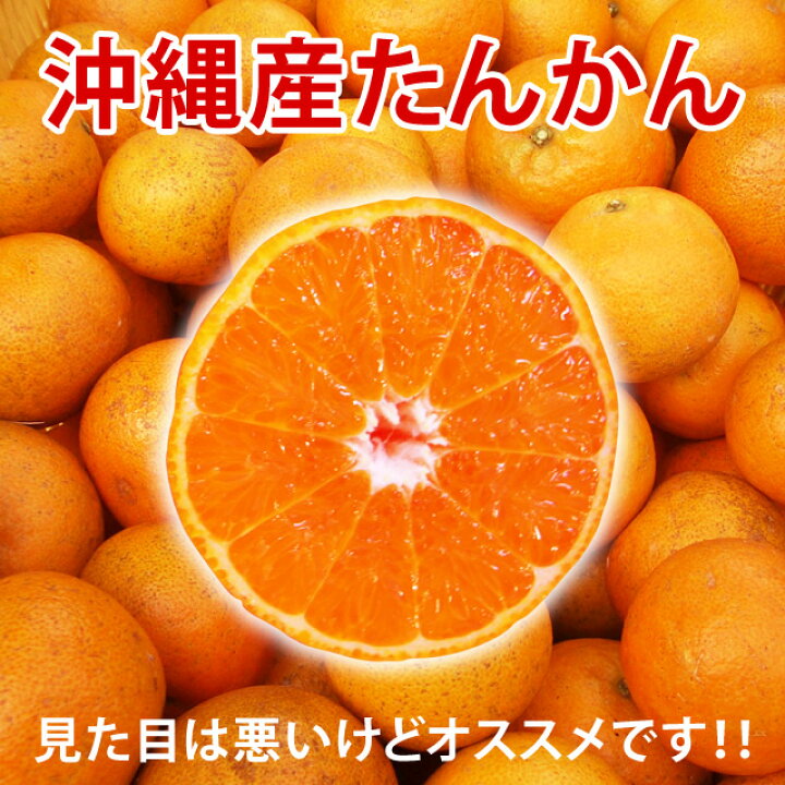 楽天市場 タンカン たんかん 5kg 沖縄産 専用皮むきのオマケつき 送料無料 産地直送 沖縄オレンジ 沖縄みかん 予約 今が旬の沖縄おきなわフルーツ 果物 訳あり わけあり みかん お試し 5kg 送料無料 セール ギフト お年賀 贈答用 お取り寄せ グルメ お取り寄せ