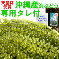 【送料無料】沖縄産 海ぶどう 天皇杯受賞 専用タレ付 100g3袋以上購入で1袋サービス 送料無料クビレヅタ …