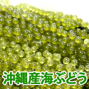 y[֑zYCԂǂ100gCm[wCԂǂ̃^tԌ聚N[|t 3܈ȏ̍w1,499~OFFN[|2025N1203()10F00 - 12()09F59܂łȂ Y