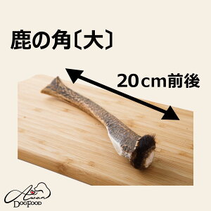 ̊p@20cm(@p@f^PA@@lC@̂@Y@Y@΁@xj\@󏭁@т@WrG@ybgt[h@@@́@@@p@