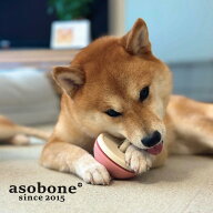 アソボーン(おもちゃ ガジガジ asobone　誤飲防止 トリーツ 知育トイ 硬め 長持ち 丈夫 歯磨き 犬用おも…