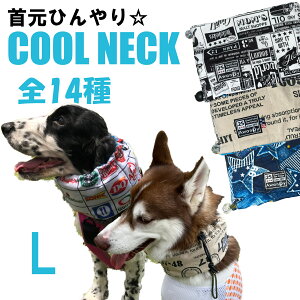 N[lbN L N[  ₷  ^ ۗ Č CObVRbJ[ AJRbJ[ t`uhbO N[[ LoA pO R[M[ r[O