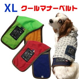 楽天市場 コーギー マナーベルト トイレ用品 犬用品 ペット ペットグッズの通販