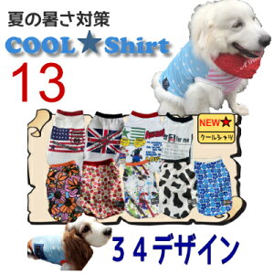 13 N[Vc S25  ^  p ⊴ IV   bV  Y G炵Ē Ђ VFp[h o[j[Y sj[Y UVJbg p  MǑ΍ h 