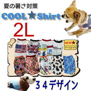 2L N[Vc S25     ^  ėp ⊴ IV  bV  Y G炵Ē Ђ ` eB[Jbvv[h UVJbg p  MǑ΍ h 