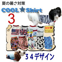 楽天市場】小型犬 服 3号 夏の通販