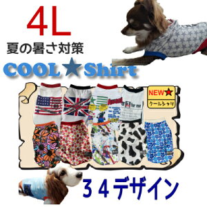 4L N[Vc S25    ^  ėp ⊴ IV  bV  Y G炵Ē Ђ ~j`A_bNX SM̊ UVJbg p  MǑ΍ h CM