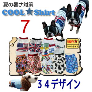 7 N[Vc    ^ ėp ⊴ IV  bV  Y G炵Ē Ђ Č rV EBybg r[O UVJbg p  MǑ΍ h CMX 