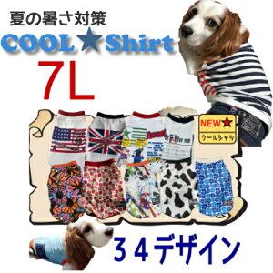 7L N[Vc S25    ^ ėp ⊴ IV  bV  Y G炵Ē Ђ R[M[ ueA RbJ[XpjG UVJbg p  MǑ΍ 