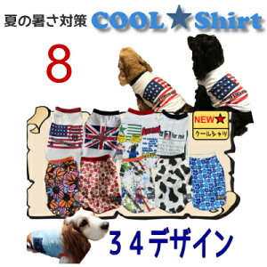 8 N[Vc S25 ^  ėp ⊴ IV   ^ bV  Y G炵Ē Ђ CObVRbJ[ Č eA UVJbg p  MǑ΍ h 