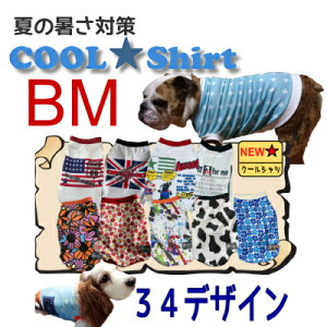 BM N[Vc S25    ^ ėp ⊴ IV  bV  Y G炵Ē Ђ CObVuhbO Z  UVJbg p  MǑ΍ h 