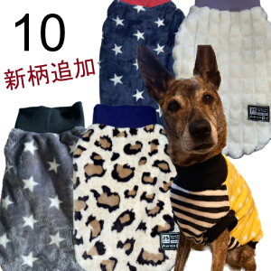 10  ~ ɒg^N ~  }CNt@Co[ѕz g @\Q ^ X^_[hv[h oZbgnEh {[_[R[  nhCh