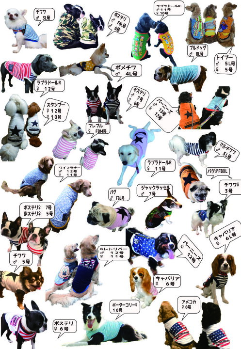 楽天市場】春 服 新作 犬服 オールシーズン タンク サイズ 7号 中型犬 