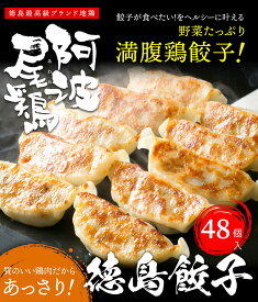 鶏餃子 焼餃子 点心 餃子 ギョーザ ぎょうざ 冷凍 阿波尾鶏の焼餃子(48個入) 使いやすい 1P16個入 個包装 冷凍餃子 お取り寄せ 国産 お祝い 徳島 阿波尾鶏 おつまみ 晩御飯 宅飲み ヘルシー 鶏ミンチ 食品 惣菜 グルメ お中元 お歳暮 ギフト