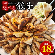 【半額！50％OFFセール】選べる餃子セット 合計48個(1袋16個入×3) 送料無料 生餃子 餃子 ギョーザ ぎょ…