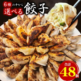 【新春セール半額！50％OFF】選べる餃子セット 合計48個(1袋16個入×3) 送料無料 生餃子 餃子 ギョーザ ぎょうざ 冷凍 焼餃子 肉餃子 野菜餃子 使いやすい 個包装 大容量 冷凍餃子 餃子のタレ付き お取り寄せ 食品 惣菜 グルメ お試し お中元 お歳暮 ギフト
