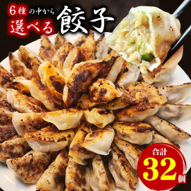 選べる餃子セット 合計32個(1袋16個入×2) 送料無料 生餃子 餃子 ギョーザ ぎょうざ 冷凍 焼餃子 肉餃子 野菜餃子 使いやすい 個包装 大容量 冷凍餃子 餃子のタレ付き お取り寄せ 食品 惣菜 グルメ お試し お中元 お歳暮 ギフト