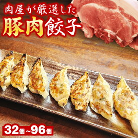 肉屋が厳選した豚肉餃子 選べる合計32個/48個/96個(1袋16個入) 送料無料 生餃子 餃子 ギョーザ ぎょうざ 冷凍 焼餃子 肉餃子 野菜餃子 使いやすい 個包装 大容量 冷凍餃子 餃子のタレ付き お取り寄せ 食品 惣菜 グルメ お試し お中元 お歳暮 ギフト