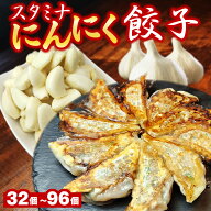 【スーパーセール半額】 スタミナにんにく餃子 選べる合計32個/48個/96個(1袋16個入) 送料無料 生餃子 餃…
