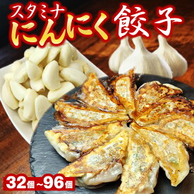 スタミナにんにく餃子 選べる合計32個/48個/96個(1袋16個入) 送料無料 生餃子 餃子 ギョーザ ぎょうざ 冷凍 焼餃子 肉餃子 野菜餃子 ニンニク餃子 使いやすい 個包装 大容量 冷凍餃子 餃子のタレ付き お取り寄せ 食品 惣菜 グルメ お試し ギフト