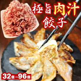 極旨肉汁餃子 選べる合計32個/48個/96個(1袋16個入) 送料無料 生餃子 餃子 ギョーザ ぎょうざ 冷凍 焼餃子 肉餃子 野菜餃子 使いやすい 個包装 大容量 冷凍餃子 餃子のタレ付き お取り寄せ 食品 惣菜 グルメ お試し お中元 お歳暮 ギフト