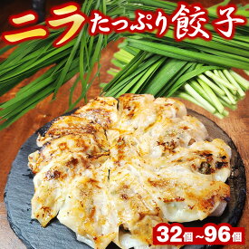 ニラたっぷり餃子 選べる合計32個/48個/96個(1袋16個入) 送料無料 生餃子 餃子 ギョーザ ぎょうざ 冷凍 焼餃子 肉餃子 野菜餃子 ニラ餃子 使いやすい 個包装 大容量 冷凍餃子 餃子のタレ付き お取り寄せ 食品 惣菜 グルメ お試し ギフト