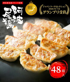 【グランプリ受賞】 とり餃子 焼餃子 点心 餃子 ギョーザ ぎょうざ 冷凍 阿波尾鶏の焼餃子(48個入) 使いやすい 1P16個入 個包装 冷凍餃子 お取り寄せ 国産 お祝い 徳島 阿波尾鶏 おつまみ 晩御飯 宅飲み ヘルシー 鶏ミンチ 食品 惣菜 グルメ お中元 お歳暮 ギフト