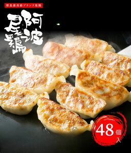 ƂLq Lq _S Lq M[U 傤 Ⓚ g{̏Lq(48) g₷ 1P16  ⓀLq  Y j  g{ ܂ ӌ  wV[ 