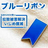 【送料無料】ブルーリボン 拉致 拉致被害 いじめ ピンバッジ アウェアネスリボン SDGsピンズ 議員 ストー…