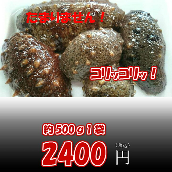 楽天市場 なまこ 赤ナマコ 淡路島産 生赤ナマコ 約500ｇ 淡路島の旬 魚一鮮魚店