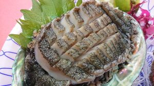 с@WHYVRс@200g`250g@14250@RbRbIhgEo[xL[ɁI