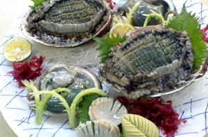 ArEwWHYVRArx1250g`300g5200`o[xL[EXe[LɁ`